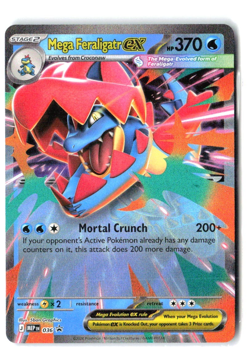 Mega Feraligatr ex 036 Holo Promo Jumbo Cards Pokemon Near Mint0
