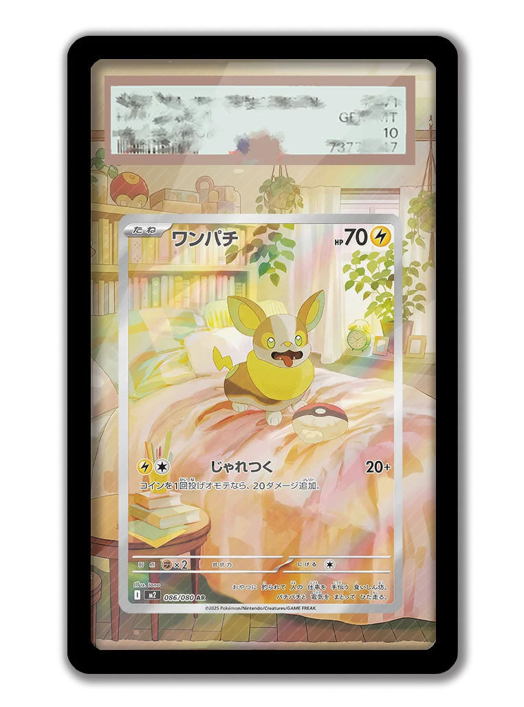 TCG Accessories