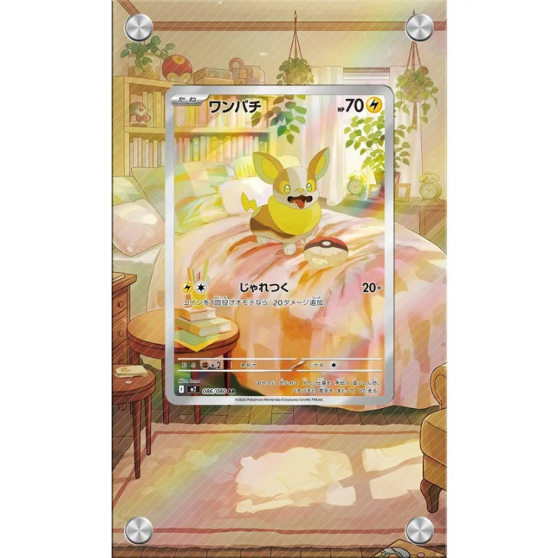 TCG Accessories